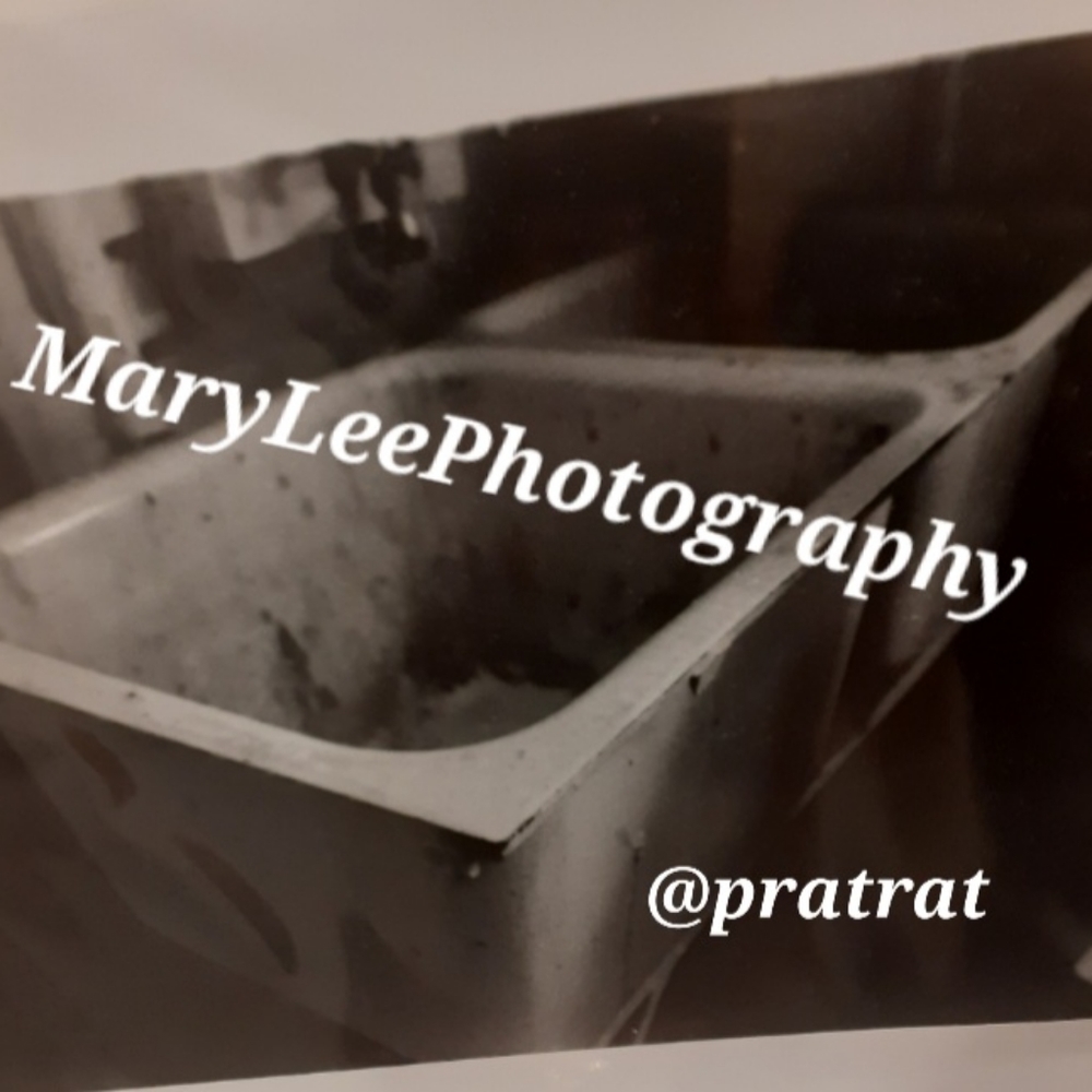 📷11×14 large format prints
